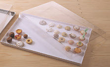 Plastic tray with protection cover - 300 x 400 mm