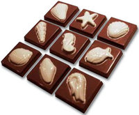 Schokoladenform, Napolitains 7 g, 9 verschiedene Motive