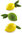 Silikonform Zitrone-Limone